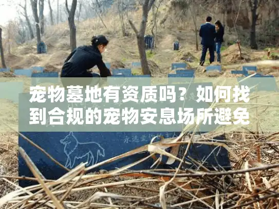 宠物墓地有资质吗？如何找到合规的宠物安息场所避免上当受骗