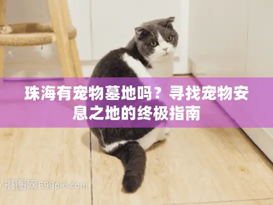 珠海有宠物墓地吗？寻找宠物安息之地的终极指南