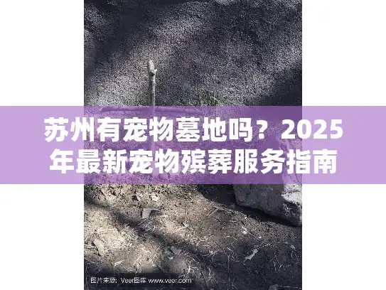 苏州有宠物墓地吗？2025年最新宠物殡葬服务指南（含墓地推荐与避坑技巧）