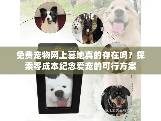 免费宠物网上墓地真的存在吗？探索零成本纪念爱宠的可行方案