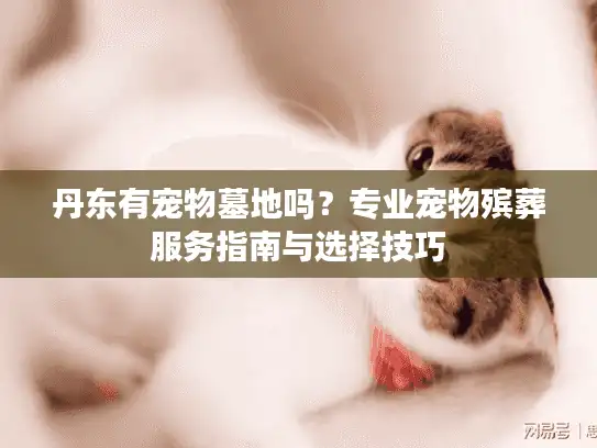 丹东有宠物墓地吗？专业宠物殡葬服务指南与选择技巧