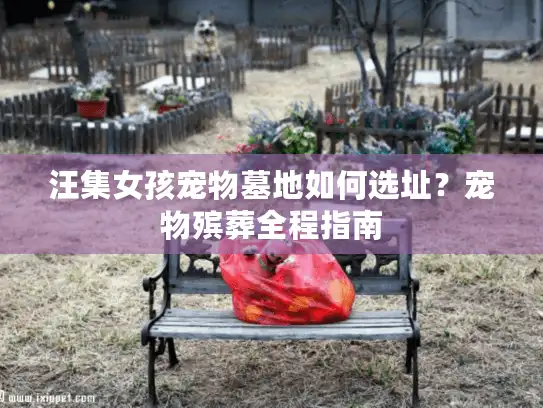 汪集女孩宠物墓地如何选址？宠物殡葬全程指南