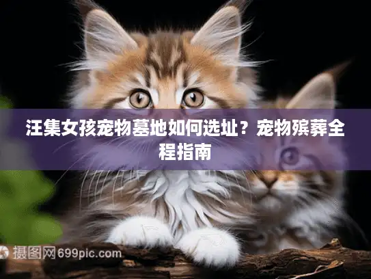 汪集女孩宠物墓地如何选址？宠物殡葬全程指南