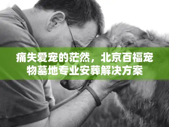 痛失爱宠的茫然，北京百福宠物墓地专业安葬解决方案
