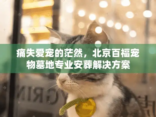 痛失爱宠的茫然，北京百福宠物墓地专业安葬解决方案