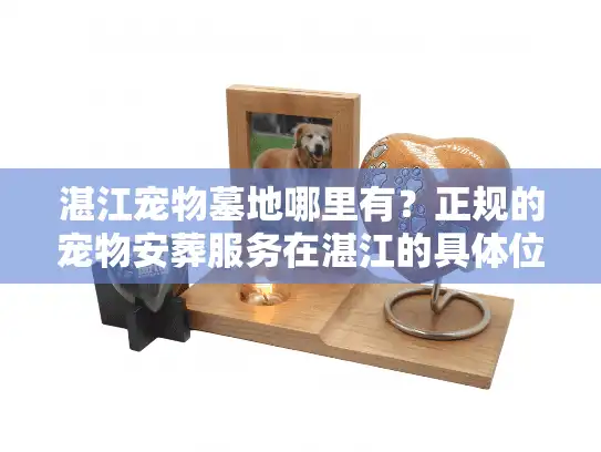 湛江宠物墓地哪里有？正规的宠物安葬服务在湛江的具体位置推荐