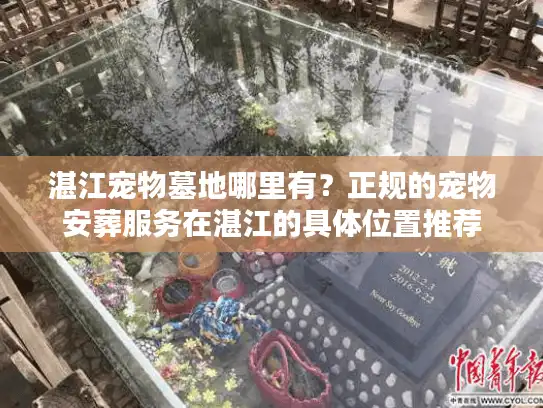 湛江宠物墓地哪里有？正规的宠物安葬服务在湛江的具体位置推荐