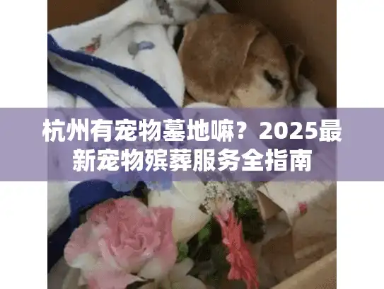 杭州有宠物墓地嘛？2025最新宠物殡葬服务全指南