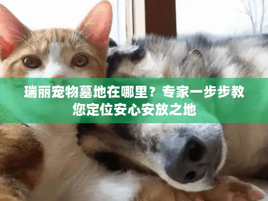 瑞丽宠物墓地在哪里？专家一步步教您定位安心安放之地