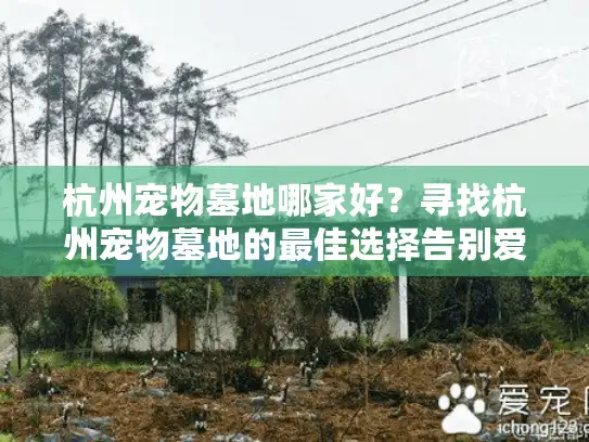 杭州宠物墓地哪家好？寻找杭州宠物墓地的最佳选择告别爱宠