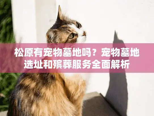松原有宠物墓地吗？宠物墓地选址和殡葬服务全面解析