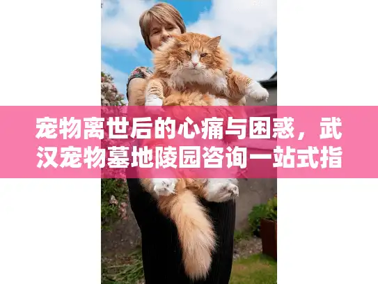 宠物离世后的心痛与困惑，武汉宠物墓地陵园咨询一站式指南
