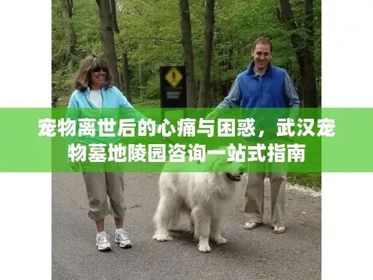 宠物离世后的心痛与困惑，武汉宠物墓地陵园咨询一站式指南