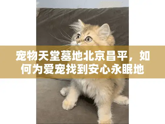 宠物天堂墓地北京昌平，如何为爱宠找到安心永眠地？