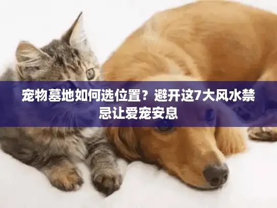 宠物墓地如何选位置？避开这7大风水禁忌让爱宠安息