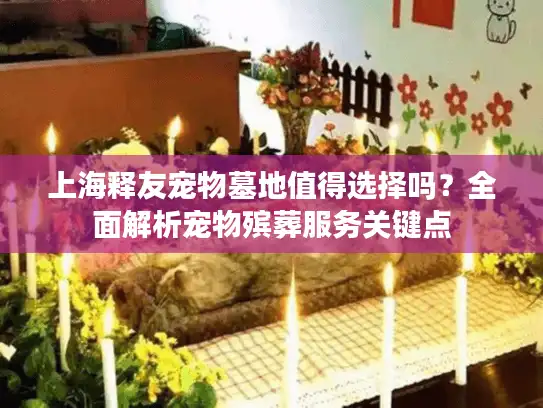 上海释友宠物墓地值得选择吗？全面解析宠物殡葬服务关键点