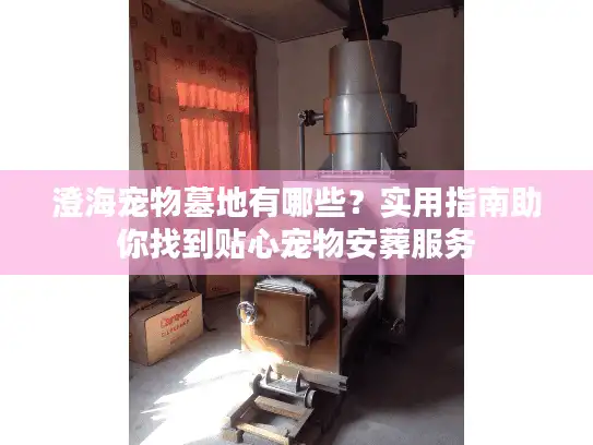 澄海宠物墓地有哪些？实用指南助你找到贴心宠物安葬服务