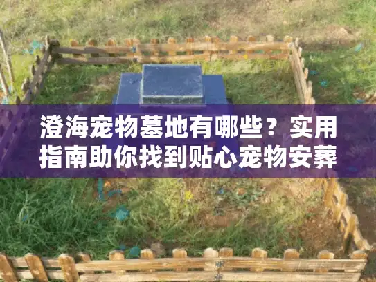 澄海宠物墓地有哪些？实用指南助你找到贴心宠物安葬服务