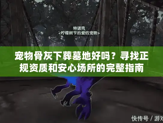宠物骨灰下葬墓地好吗？寻找正规资质和安心场所的完整指南
