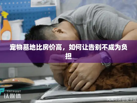 宠物墓地比房价高，如何让告别不成为负担