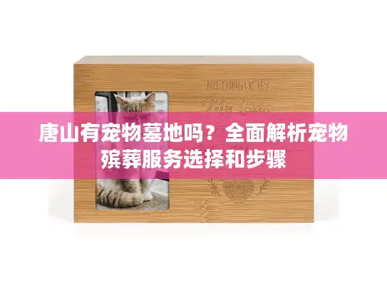 唐山有宠物墓地吗？全面解析宠物殡葬服务选择和步骤