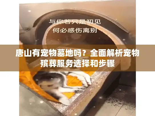 唐山有宠物墓地吗？全面解析宠物殡葬服务选择和步骤