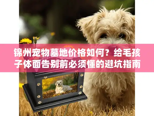 锦州宠物墓地价格如何？给毛孩子体面告别前必须懂的避坑指南