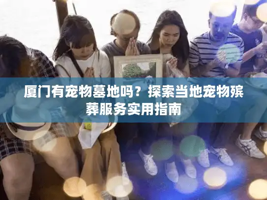 厦门有宠物墓地吗？探索当地宠物殡葬服务实用指南