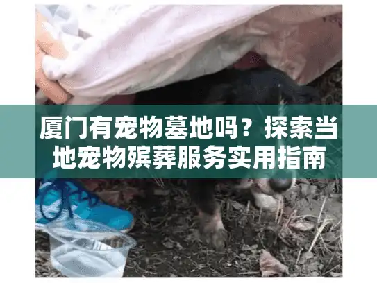 厦门有宠物墓地吗？探索当地宠物殡葬服务实用指南