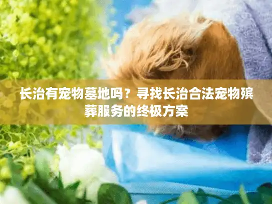 长治有宠物墓地吗？寻找长治合法宠物殡葬服务的终极方案