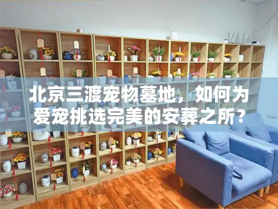 北京三渡宠物墓地，如何为爱宠挑选完美的安葬之所？