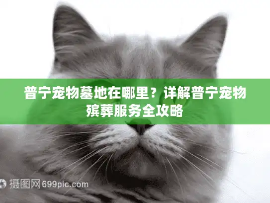 普宁宠物墓地在哪里？详解普宁宠物殡葬服务全攻略