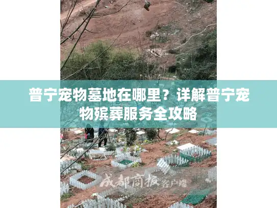 普宁宠物墓地在哪里？详解普宁宠物殡葬服务全攻略