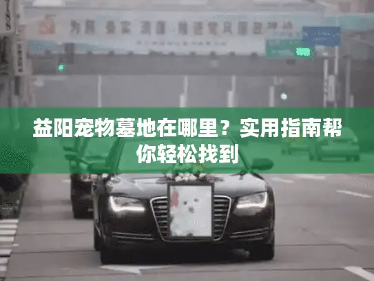 益阳宠物墓地在哪里？实用指南帮你轻松找到