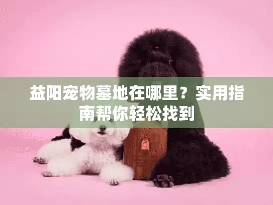 益阳宠物墓地在哪里？实用指南帮你轻松找到