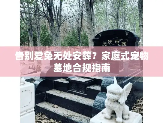 告别爱兔无处安葬？家庭式宠物墓地合规指南