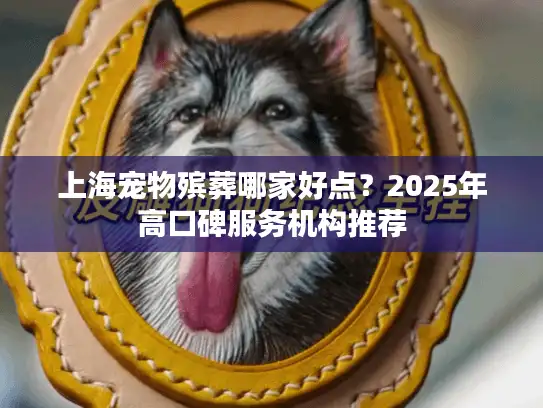 上海宠物殡葬哪家好点？2025年高口碑服务机构推荐