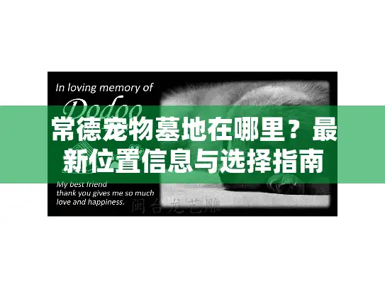 常德宠物墓地在哪里？最新位置信息与选择指南