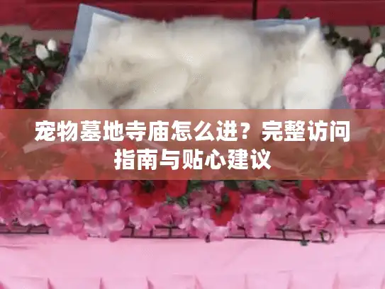宠物墓地寺庙怎么进？完整访问指南与贴心建议