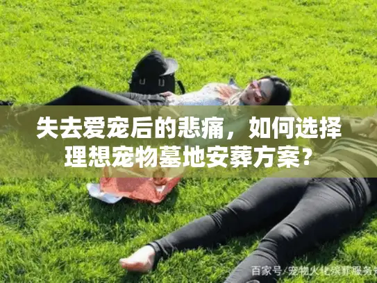失去爱宠后的悲痛，如何选择理想宠物墓地安葬方案？