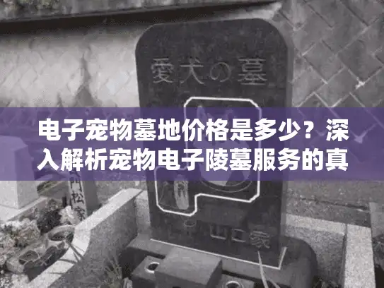 电子宠物墓地价格是多少？深入解析宠物电子陵墓服务的真实成本与选择技巧