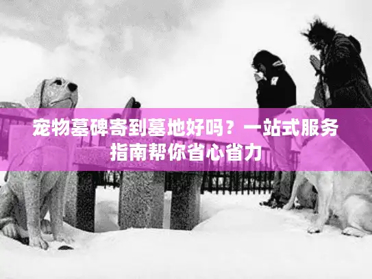 宠物墓碑寄到墓地好吗？一站式服务指南帮你省心省力