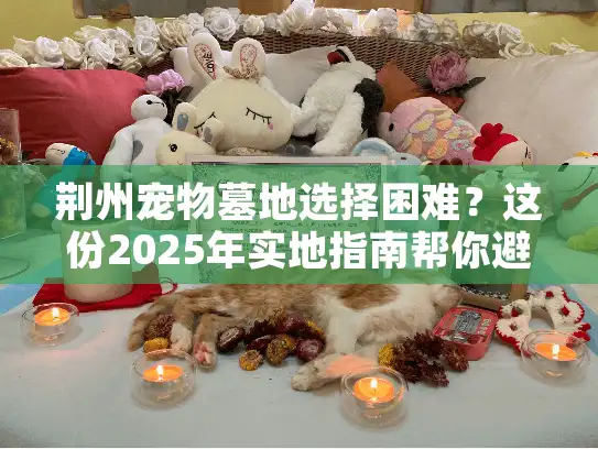 荆州宠物墓地选择困难？这份2025年实地指南帮你避坑