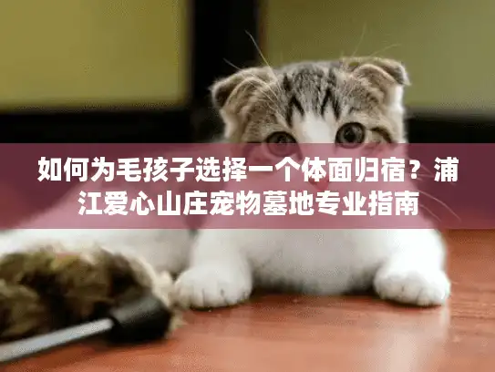 如何为毛孩子选择一个体面归宿？浦江爱心山庄宠物墓地专业指南