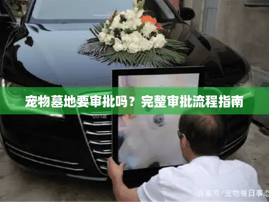 宠物墓地要审批吗？完整审批流程指南