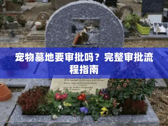 宠物墓地要审批吗？完整审批流程指南