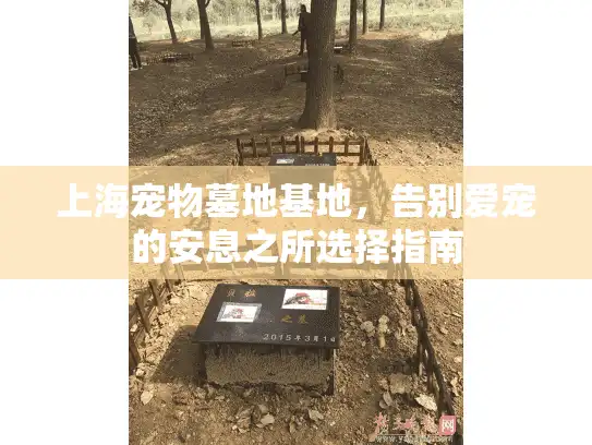 上海宠物墓地基地，告别爱宠的安息之所选择指南