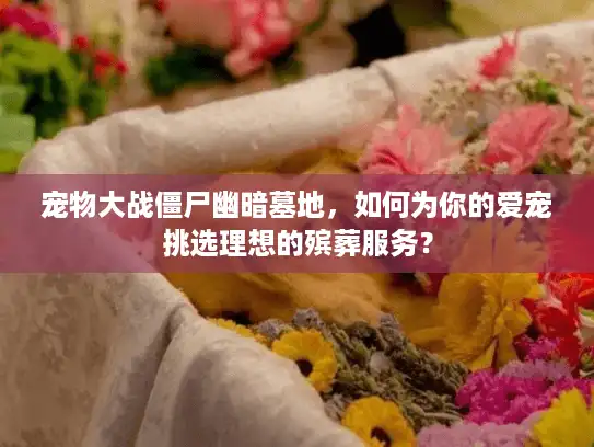 宠物大战僵尸幽暗墓地，如何为你的爱宠挑选理想的殡葬服务？