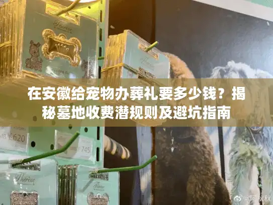 在安徽给宠物办葬礼要多少钱？揭秘墓地收费潜规则及避坑指南