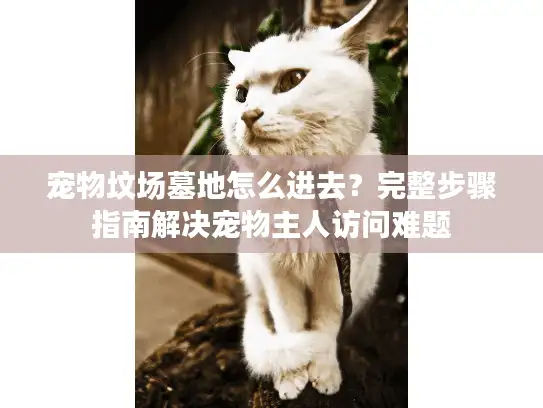 宠物坟场墓地怎么进去？完整步骤指南解决宠物主人访问难题